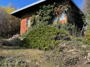 Prodej chaty, Uherský Brod, 40 m2