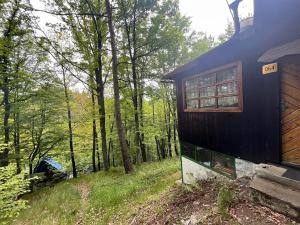 Prodej chaty, Kaliště, 30 m2