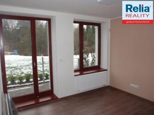 Pronájem bytu 2+kk, Liberec, Riegrova, 44 m2