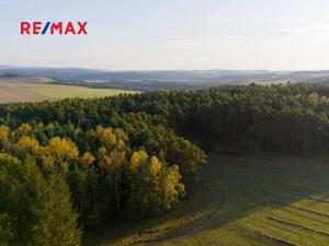 Prodej lesa, Všehrdy, 35057 m2