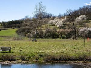 Prodej rodinného domu, Rašovice, 105 m2