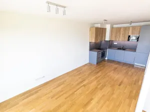 Prodej bytu 1+kk, Praha - Žižkov, Seifertova, 43 m2