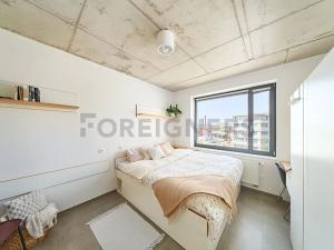 Pronájem bytu 1+kk, Brno, Dornych, 22 m2