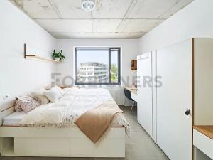 Pronájem bytu 1+kk, Brno, Dornych, 22 m2