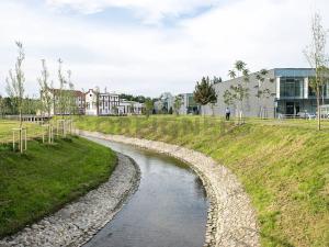 Pronájem bytu 1+kk, Brno, Dornych, 22 m2