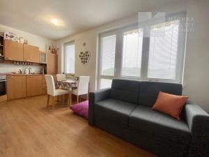 Pronájem bytu 1+kk, Brno, Adamcova, 32 m2