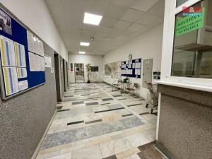 Prodej bytu 1+1, Praha - Záběhlice, Jabloňová, 33 m2