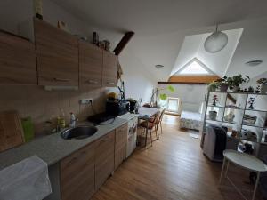 Pronájem bytu 1+kk, Olomouc, Denisova, 40 m2