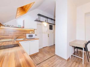 Pronájem bytu 1+kk, Olomouc, Krapkova, 25 m2