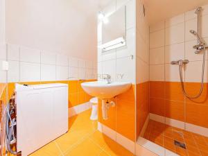 Pronájem bytu 1+kk, Olomouc, Krapkova, 25 m2