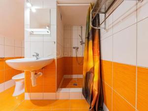 Pronájem bytu 1+kk, Olomouc, Krapkova, 25 m2