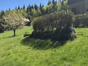 Prodej chaty, Smržovka, Věry Kozákové, 30 m2