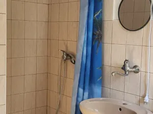 Prodej chalupy, Pertoltice, 250 m2