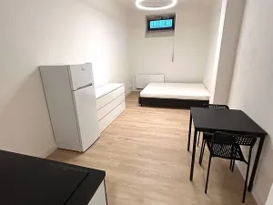 Pronájem bytu 1+kk, Praha - Hloubětín, Poděbradská, 28 m2