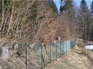 Prodej pozemku, Červená Voda, 463 m2