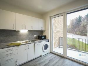 Pronájem bytu 1+kk, Český Krumlov, Za Jitonou, 43 m2