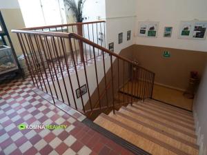 Pronájem bytu 1+kk, Kynšperk nad Ohří, Mládeže, 23 m2