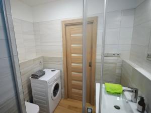 Pronájem bytu 1+kk, Frýdek-Místek, Hasičská, 31 m2