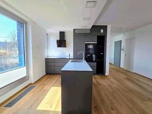 Pronájem bytu 4+kk, Praha - Smíchov, U Dívčích hradů, 119 m2