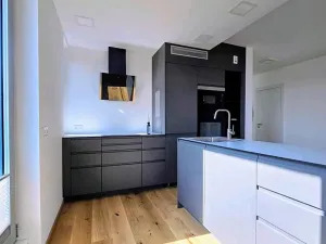 Pronájem bytu 4+kk, Praha - Smíchov, U Dívčích hradů, 119 m2
