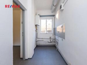 Pronájem bytu 4+1, Praha - Lipence, V roklích, 90 m2