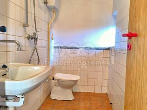 Prodej chalupy, Strmilov - Palupín, 73 m2