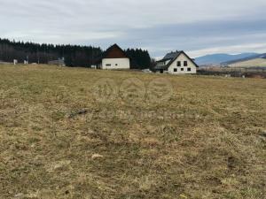 Prodej pozemku pro bydlení, Červená Voda, 1251 m2