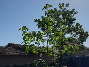 Prodej rodinného domu, Zmeevo, Bulharsko, 115 m2