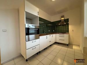 Pronájem bytu 2+1, Havířov, Dělnická, 50 m2