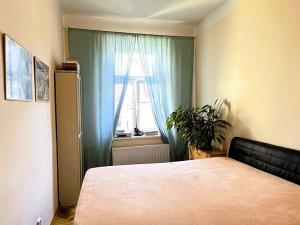 Prodej bytu 4+1, Praha - Žižkov, Bořivojova, 106 m2
