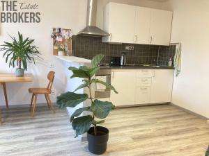 Pronájem bytu 2+kk, Praha - Motol, Plzeňská, 56 m2