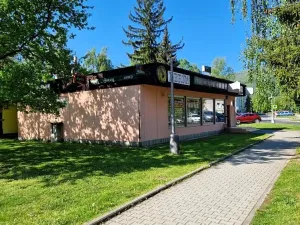 Prodej obchodního prostoru, Frýdlant nad Ostravicí, Janáčkova, 200 m2