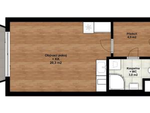 Pronájem bytu 1+kk, Praha - Žižkov, Tetauerova, 31 m2