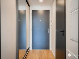 Pronájem bytu 1+kk, Praha - Žižkov, Tetauerova, 31 m2
