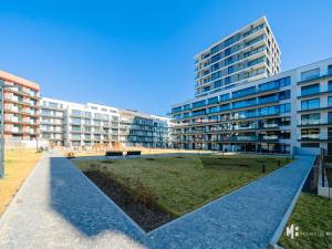 Pronájem bytu 1+kk, Praha - Žižkov, Tetauerova, 31 m2