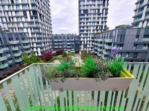 Pronájem bytu 1+kk, Praha - Žižkov, Olšanská, 41 m2
