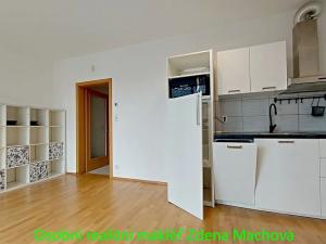 Pronájem bytu 1+kk, Praha - Žižkov, Olšanská, 41 m2