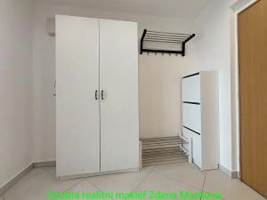 Pronájem bytu 1+kk, Praha - Žižkov, Olšanská, 41 m2
