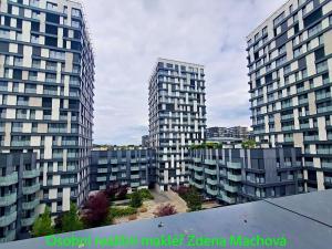 Pronájem bytu 1+kk, Praha - Žižkov, Olšanská, 41 m2