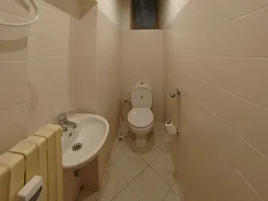 Pronájem pokoje, Plzeň, Karlovarská, 17 m2