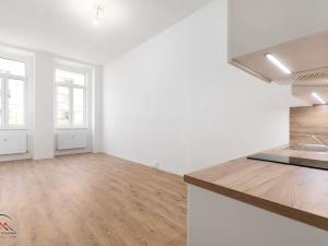 Pronájem bytu 1+kk, Ostrava, Palackého, 37 m2