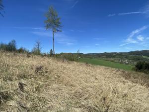 Prodej lesa, Liptál, 12261 m2
