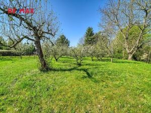 Prodej pozemku pro bydlení, Zalešany, 816 m2