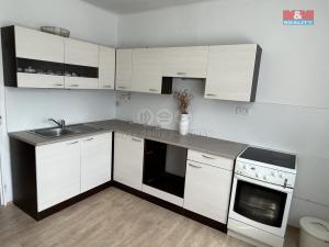 Pronájem bytu 2+kk, Návsí, 70 m2