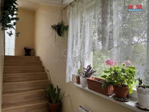 Pronájem bytu 2+kk, Návsí, 70 m2