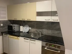 Pronájem bytu 3+1, Brno, Provazníkova, 45 m2