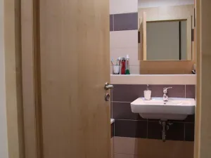Pronájem bytu 1+kk, Brno, U Leskavy, 38 m2