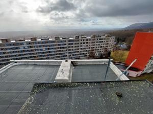 Prodej bytu 3+1, Litvínov, Albrechtická, 69 m2
