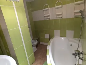 Pronájem bytu 1+1, Ústí nad Labem, Železná, 34 m2