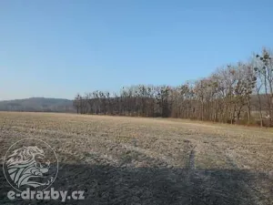 Dražba pozemku, Semanín, 1256 m2
